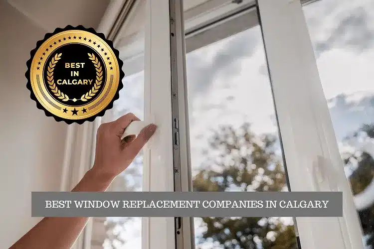 The Best Window Replacement Companies in Calgary