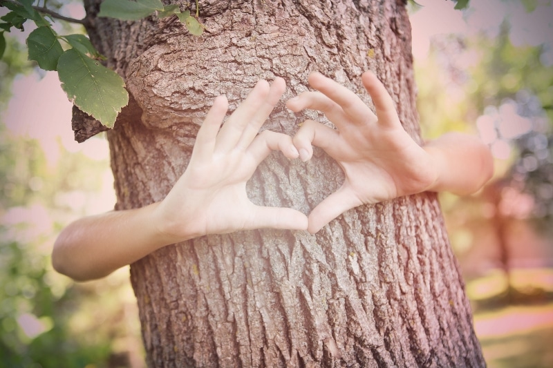 Childs hands making a heart shape on a tree trunk. Instagram effect