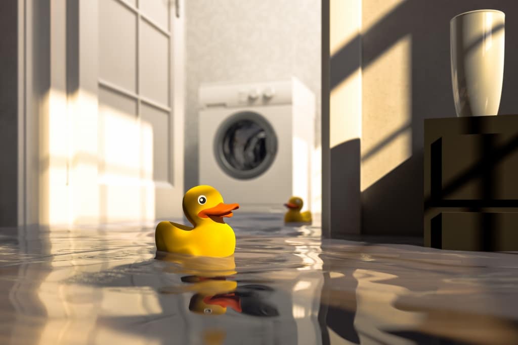 Water damage caused by defective washing machine and rubber ducks