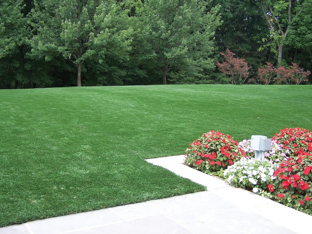 Photo source: ForeverLawn