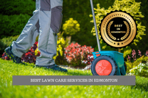 The Best Lawn Care Services in Edmonton