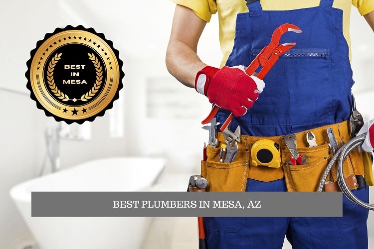 The Best Plumbers in Mesa